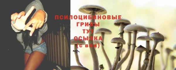 скорость Алзамай