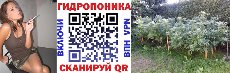 Купить закладки  Хабаровск  Марихуана планчик 